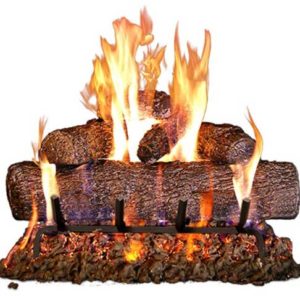 Best Gas Fireplace Insert